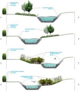 Dover Ditch Living Shoreline Project