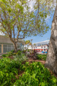 Euclid Ave / Lincoln Road Pedestrian Corridor