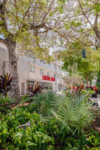 Euclid Ave / Lincoln Road Pedestrian Corridor