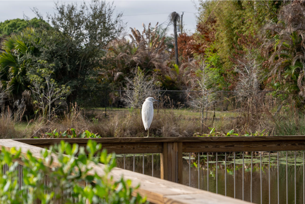 Old Palm City Ripple Eco-Park