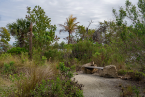 Old Palm City Ripple Eco-Park