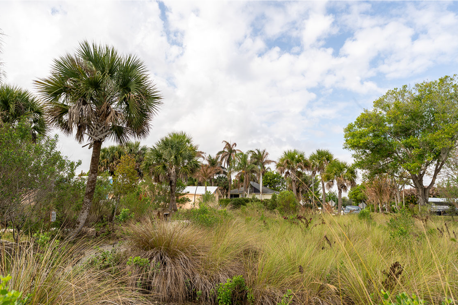 Old Palm City Ripple Eco-Park