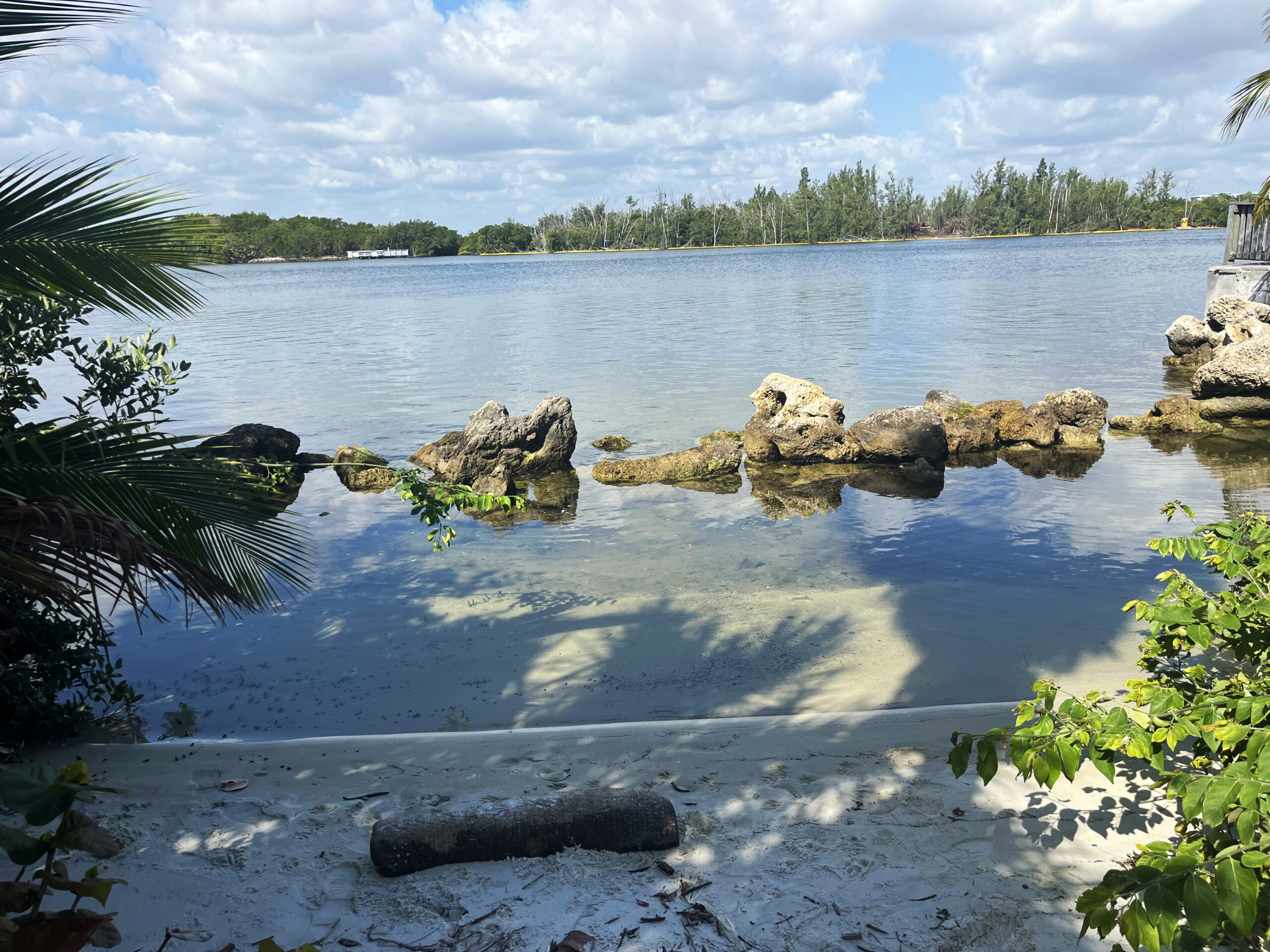 North Beach Park Tidal Flood Resiliency