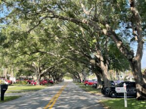 Landscape Master Plan and Design Guidelines