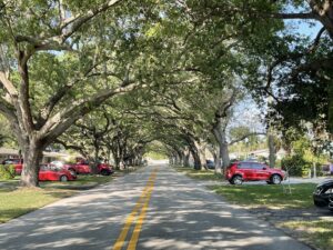 Landscape Master Plan and Design Guidelines