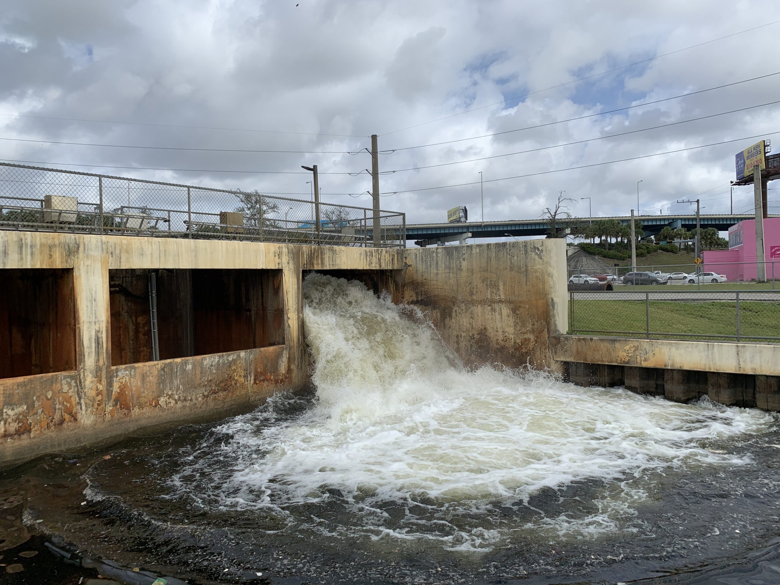 C2, C3W, C4, C5, and C6 Watersheds Flood Protection Level of Service Assessment